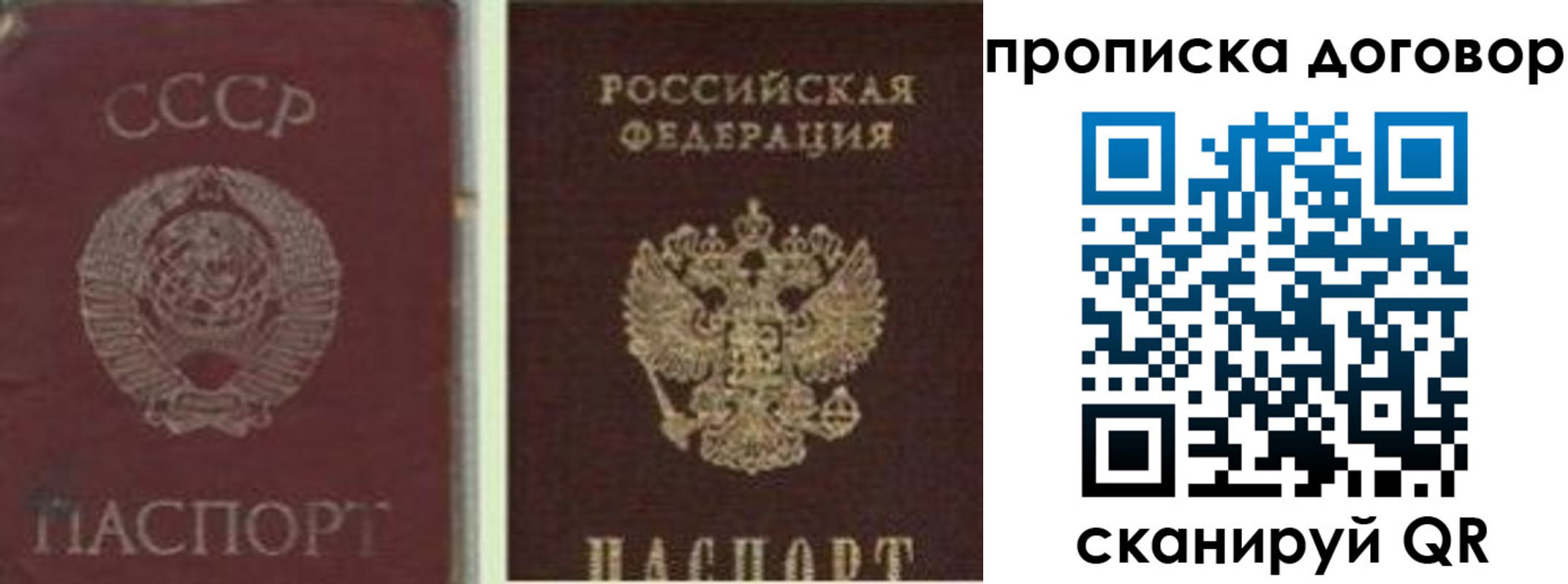 прописка гарантия в Плавске